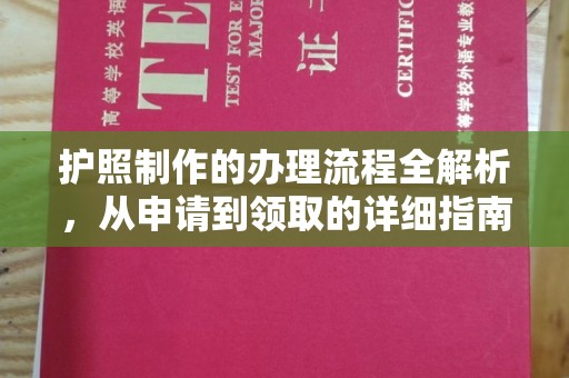 镇安护照制作的办理流程全解析，从申请到领取的详细指南